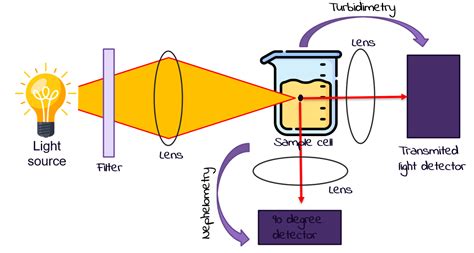 turbidimetry principle